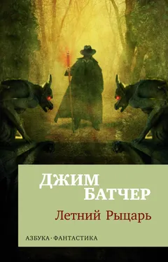 Обложка книги «Летний рыцарь»