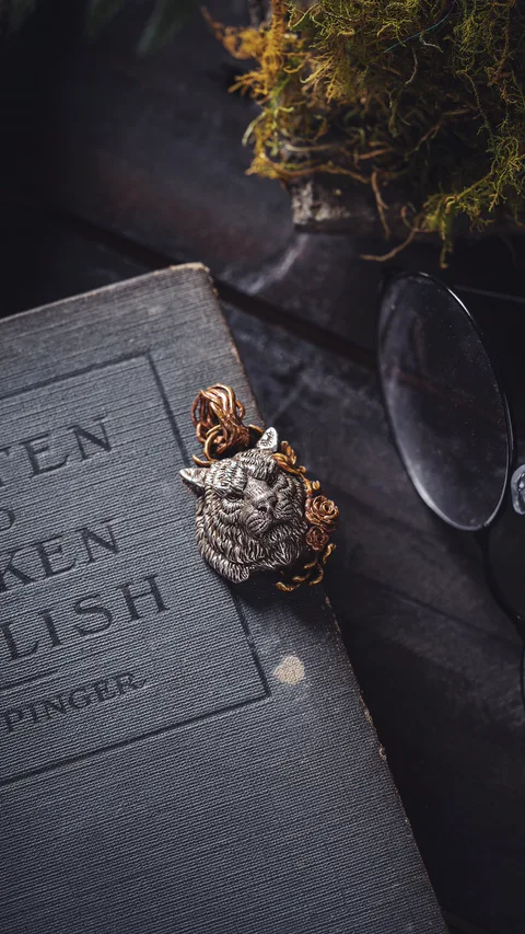 Серебряный волк на обложке старинной книги